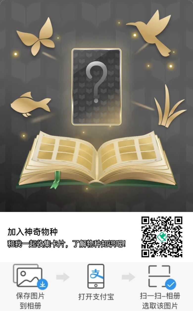 wind，Wind guidance，