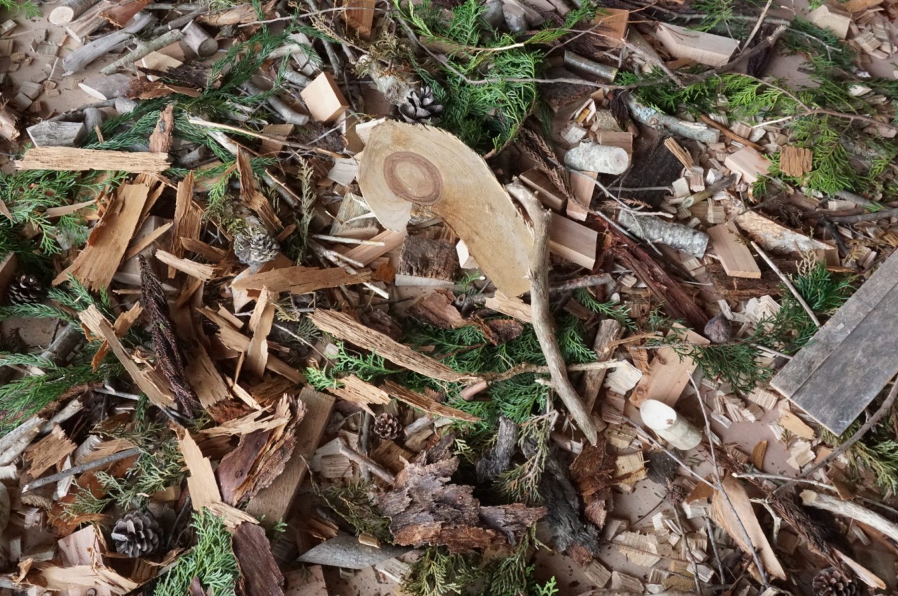 sawdust，Material Science，Synthesis process，