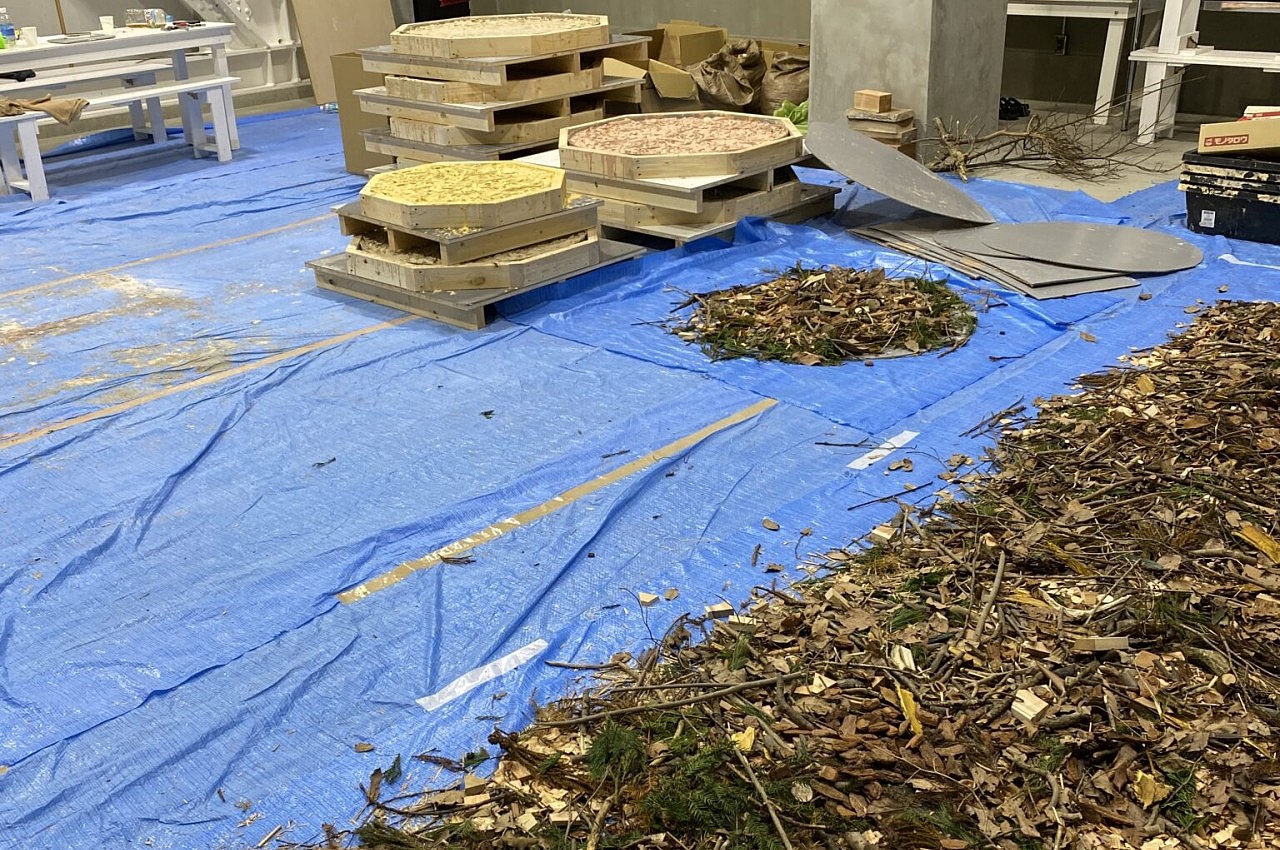 sawdust，Material Science，Synthesis process，