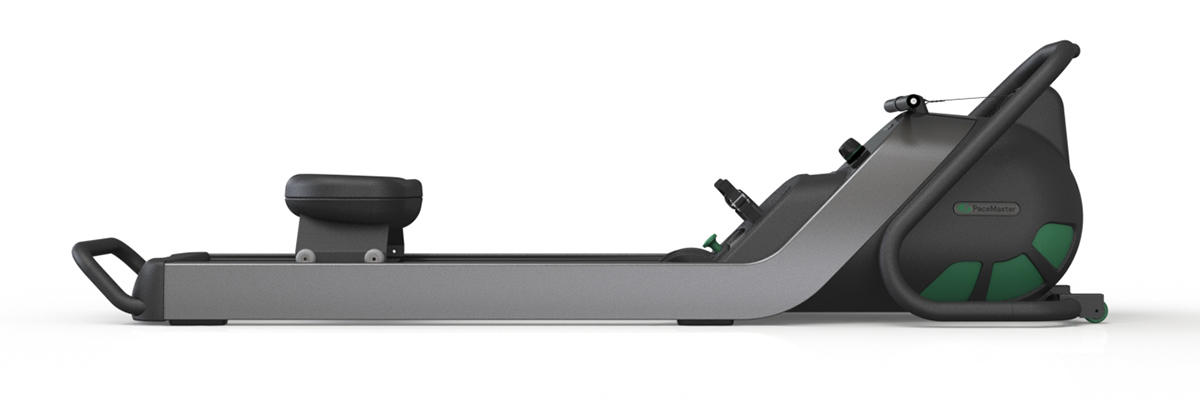 Bodybuilding，apparatus，motion，muscle，