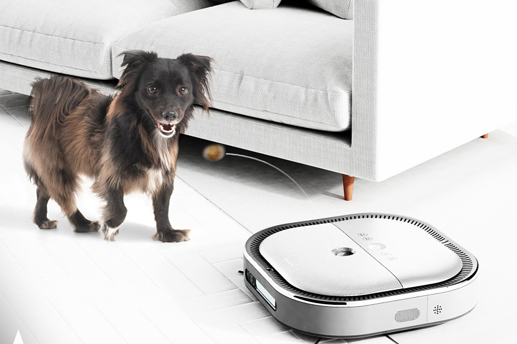 intelligence，Dog care machine，product design，Appearance design，Pets，
