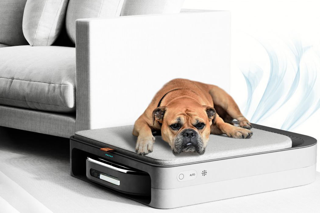 intelligence，Dog care machine，product design，Appearance design，Pets，