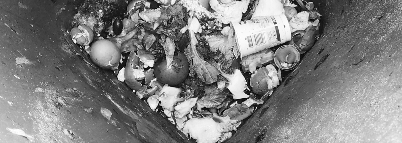 environment，Cherish food，loop，