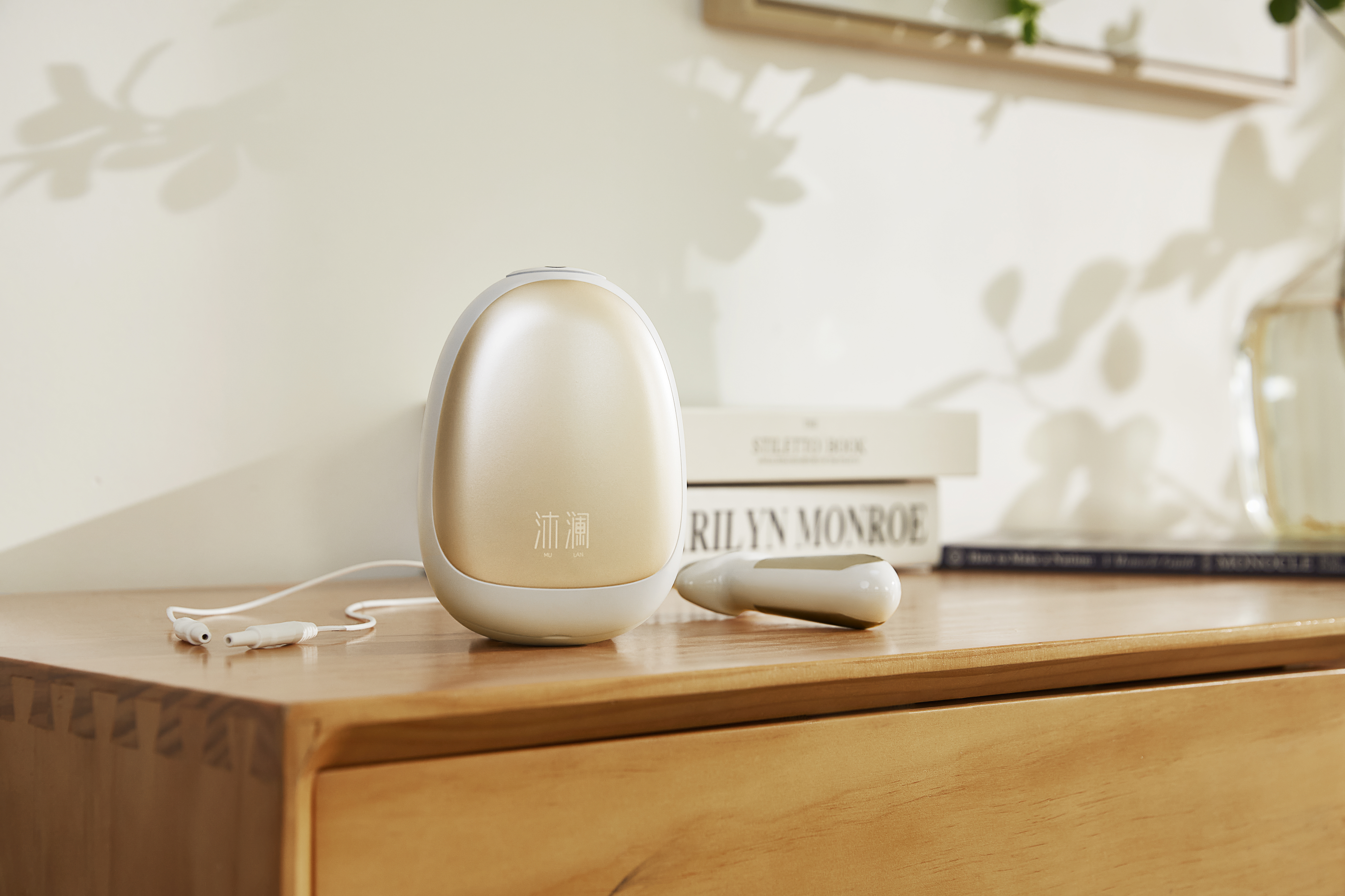 Home medical，Pelvic floor rehabilitation，Postpartum rehabilitation，Personal care，