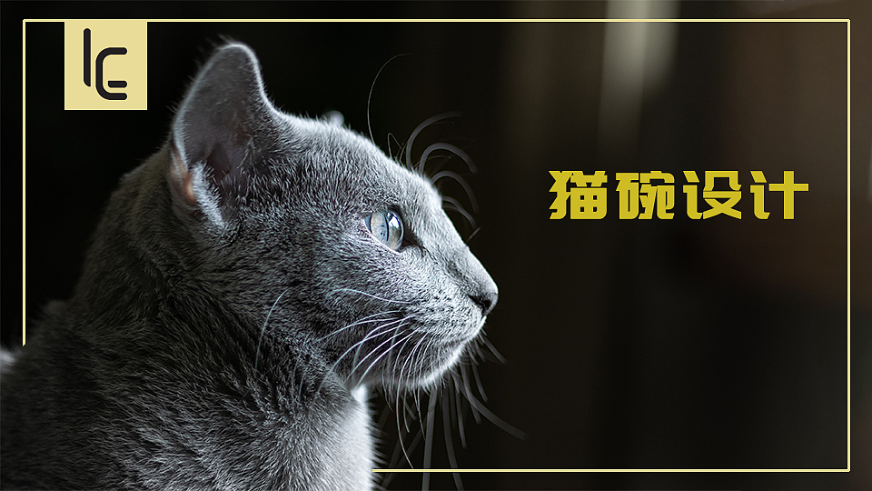 猫碗，