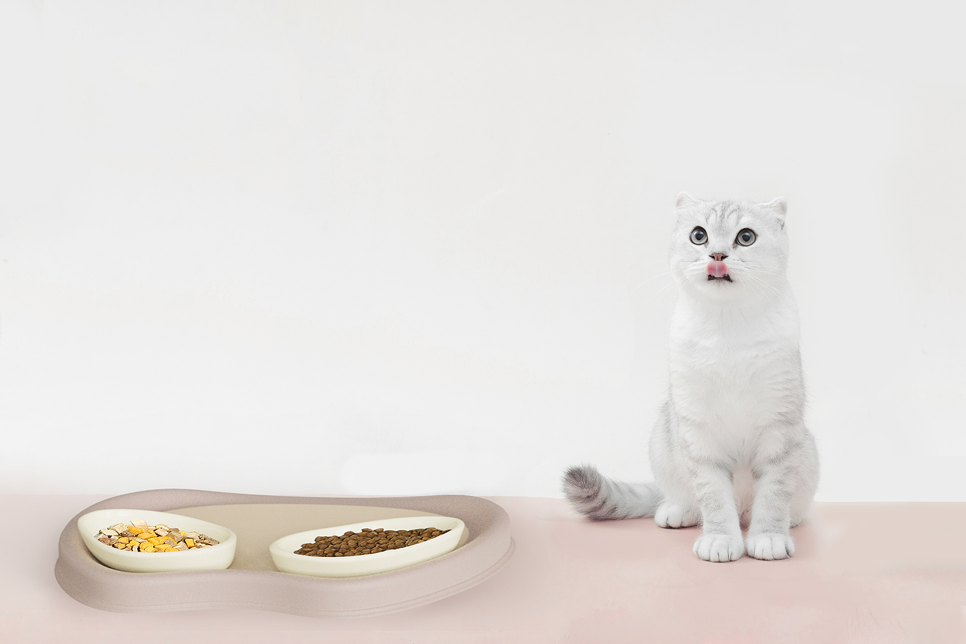 Cat bowl，