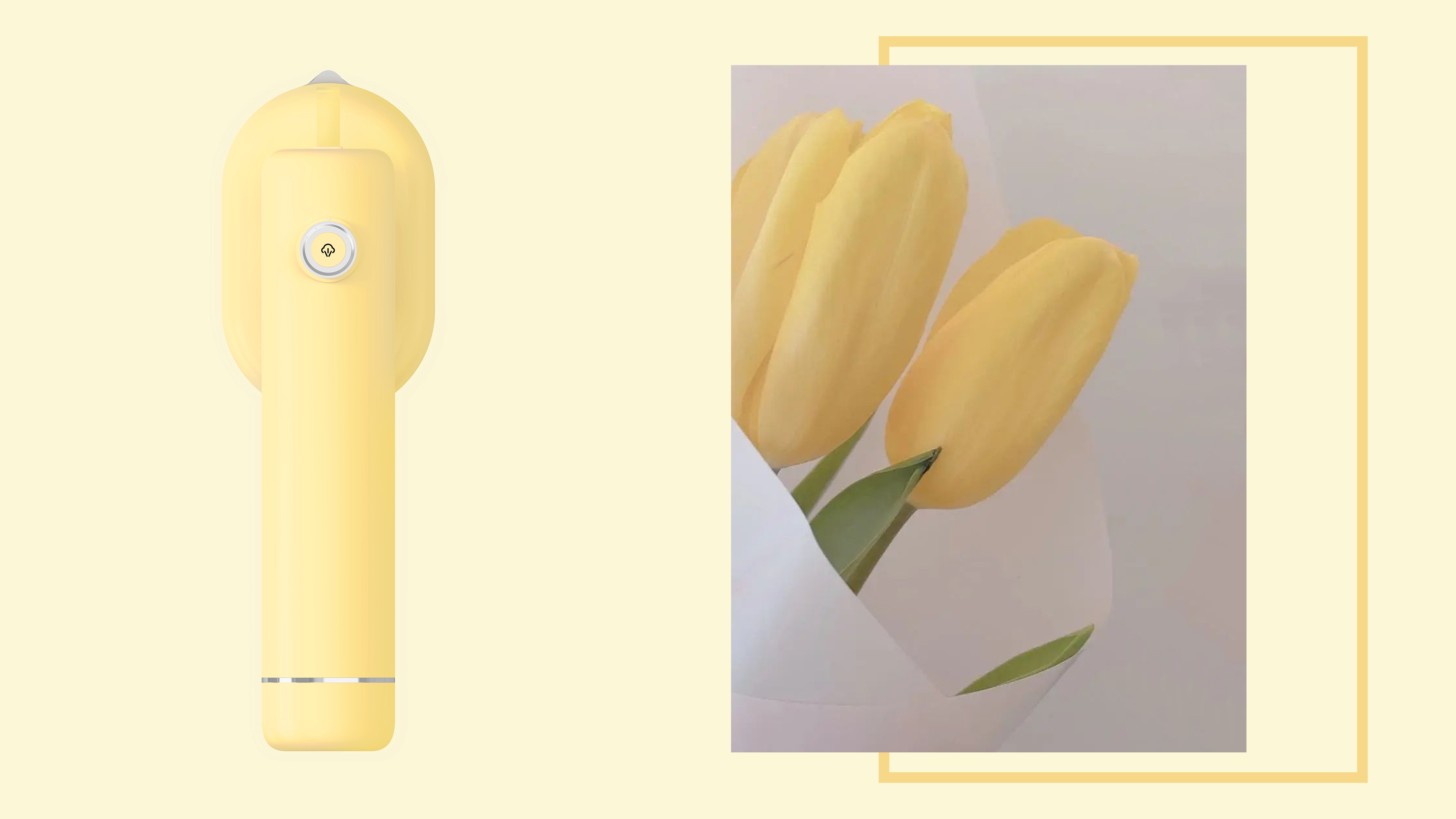 Portable，Appearance design，Simplicity，small home appliances，Steam iron，