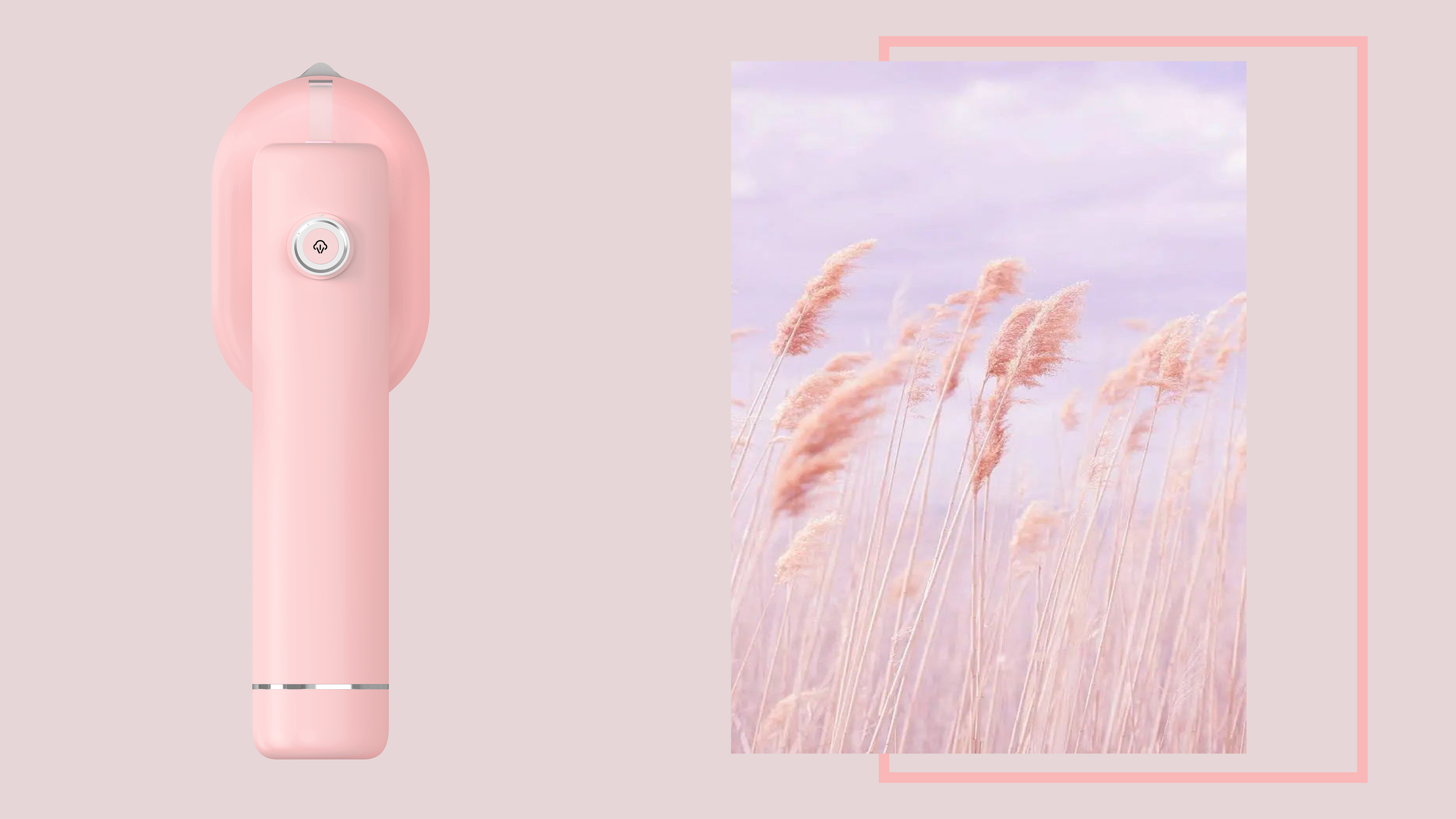 Portable，Appearance design，Simplicity，small home appliances，Steam iron，