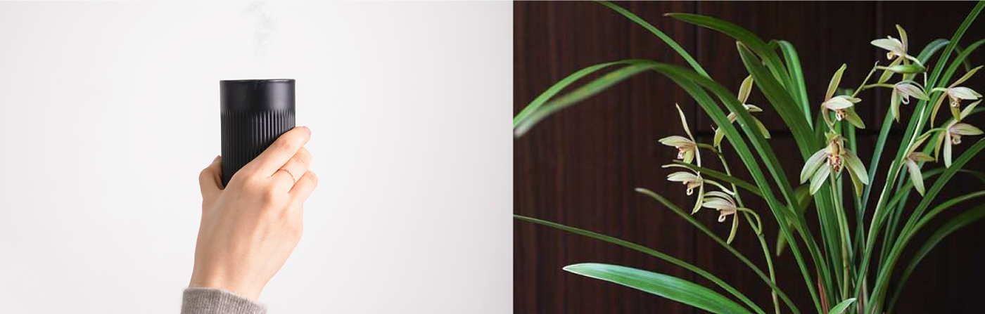 tea，Tea water purifier，Coffee，industrial design，product design，