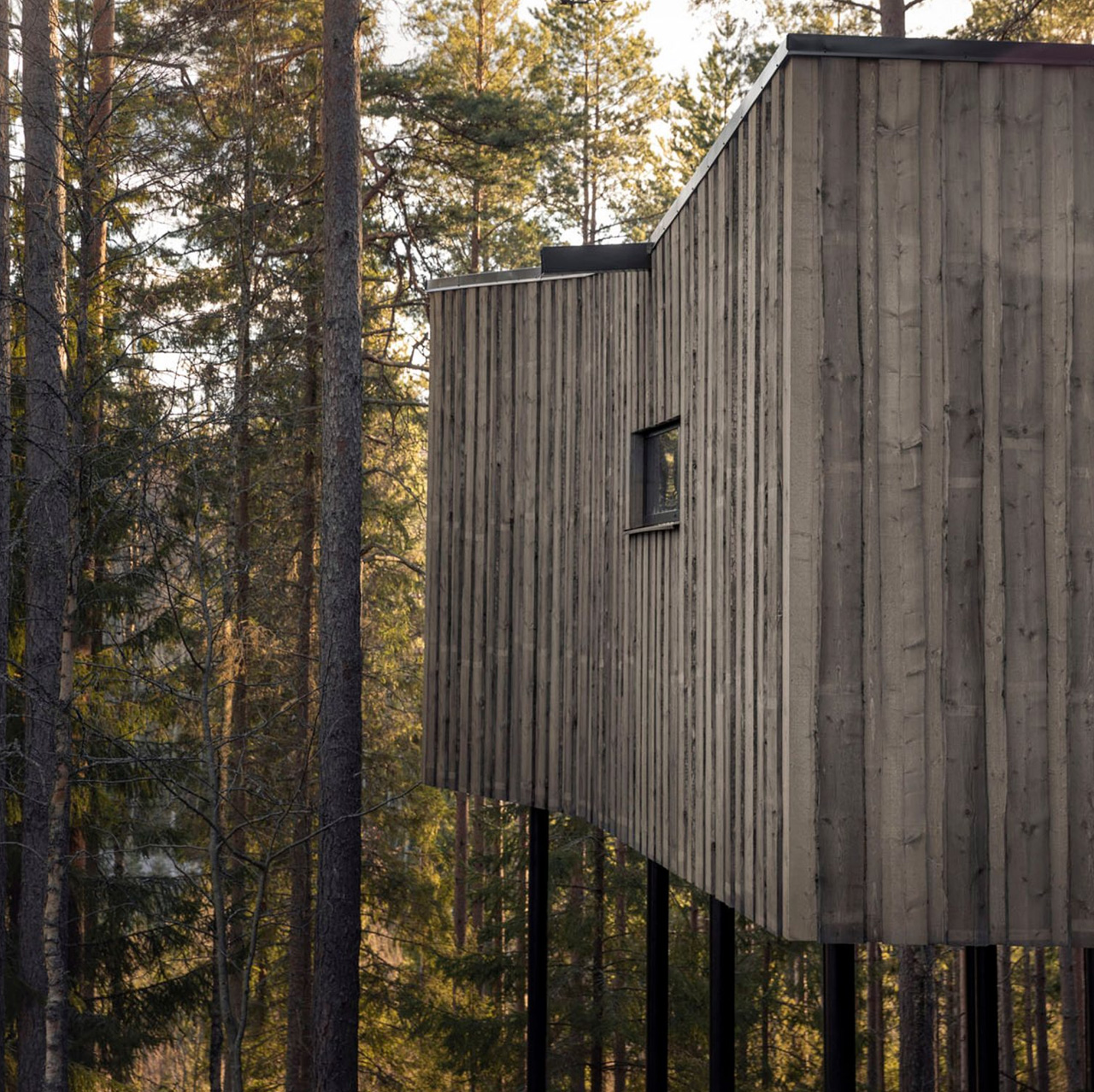 Architecture，Forest hotel，hotel，Architectural design，design，Hotel Suite，wooden ，