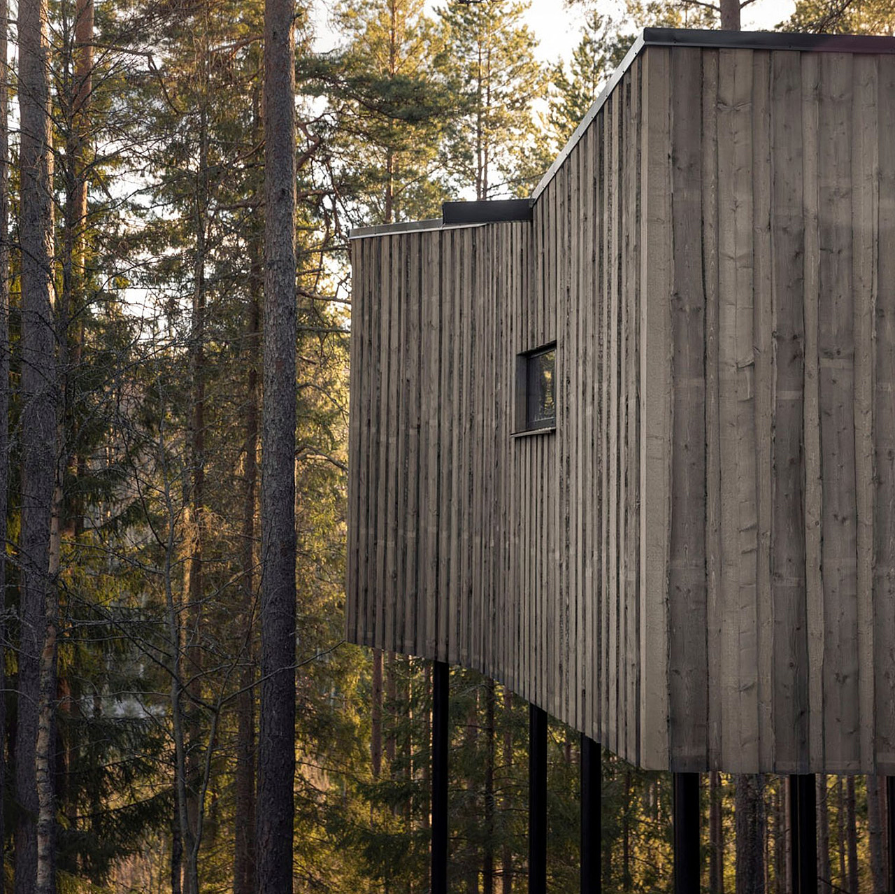 Architecture，Forest hotel，hotel，Architectural design，design，Hotel Suite，wooden ，