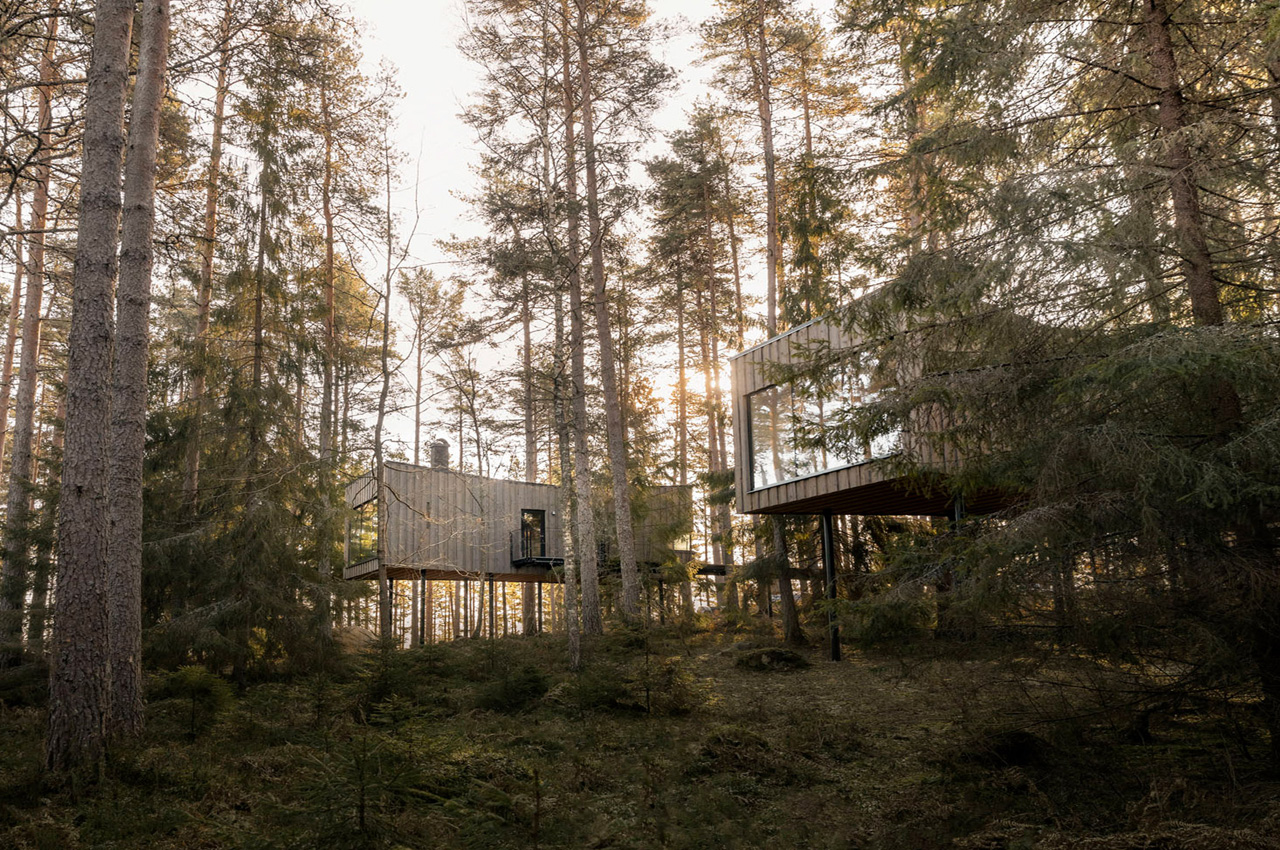 Architecture，Forest hotel，hotel，Architectural design，design，Hotel Suite，wooden ，