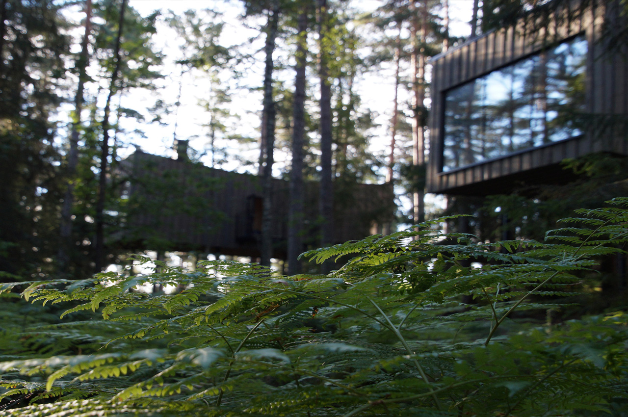 Architecture，Forest hotel，hotel，Architectural design，design，Hotel Suite，wooden ，