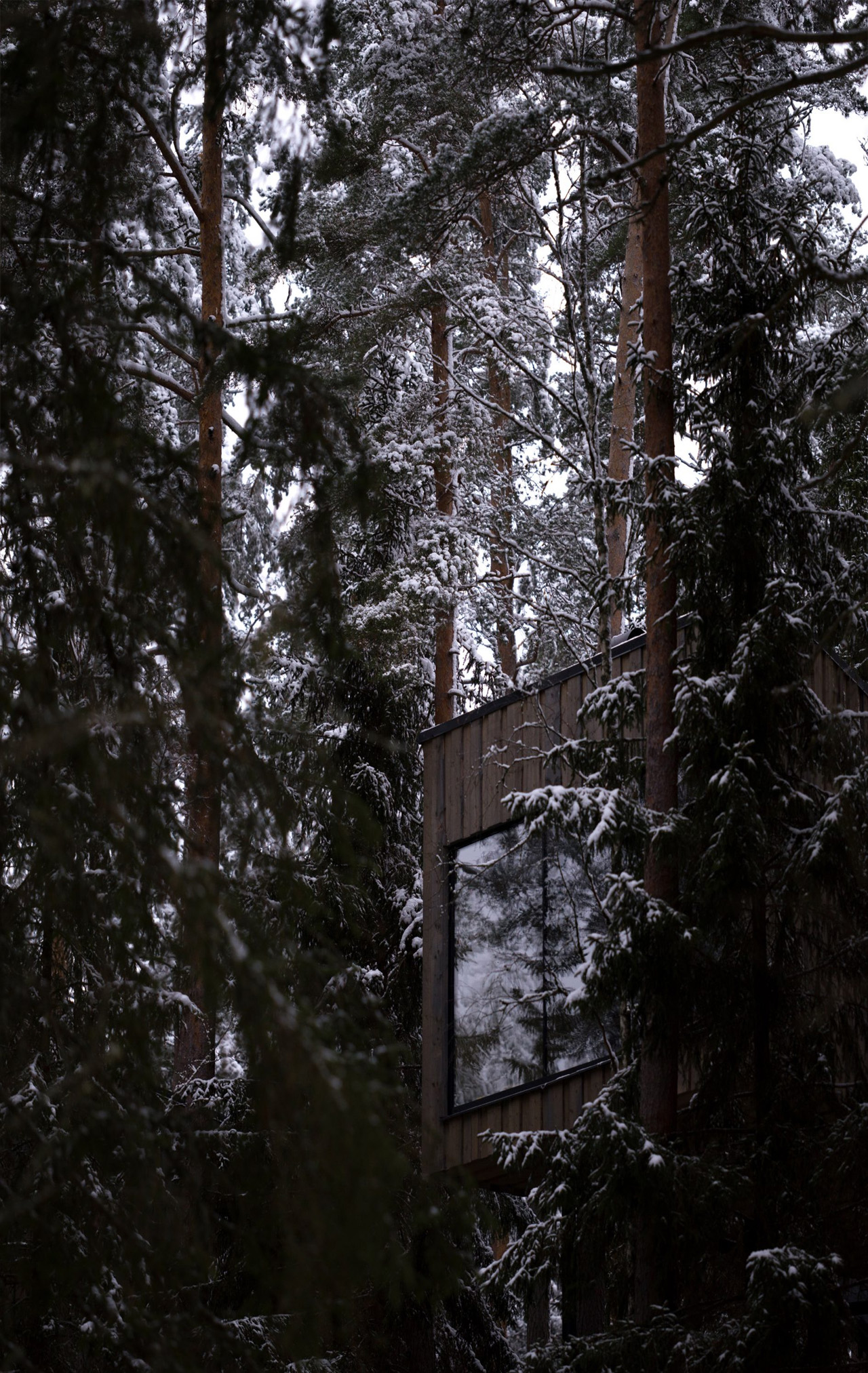 Architecture，Forest hotel，hotel，Architectural design，design，Hotel Suite，wooden ，