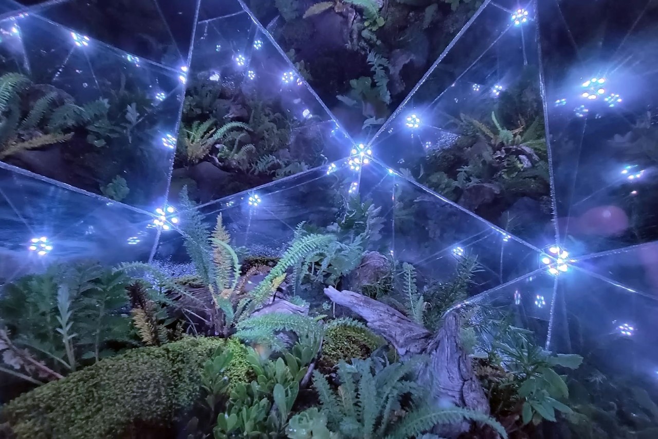 diy，Aquarium，icosahedral glass cylinder，