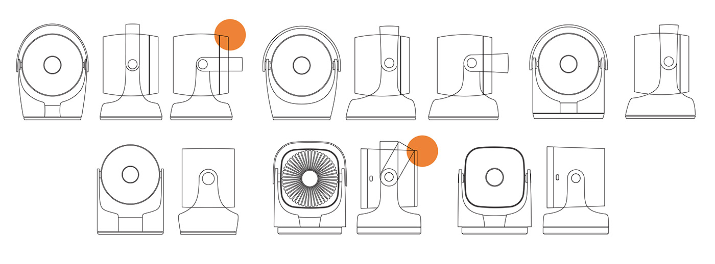 Ravenala，Madagascar，loop，air，