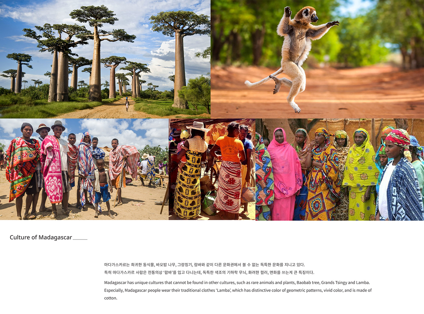 Ravenala，Madagascar，loop，air，