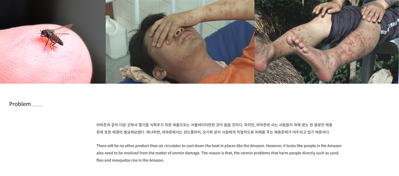 Ravenala，Madagascar，loop，air，