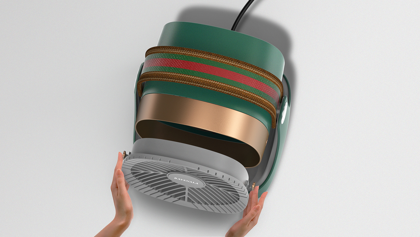 Ravenala，Madagascar，loop，air，