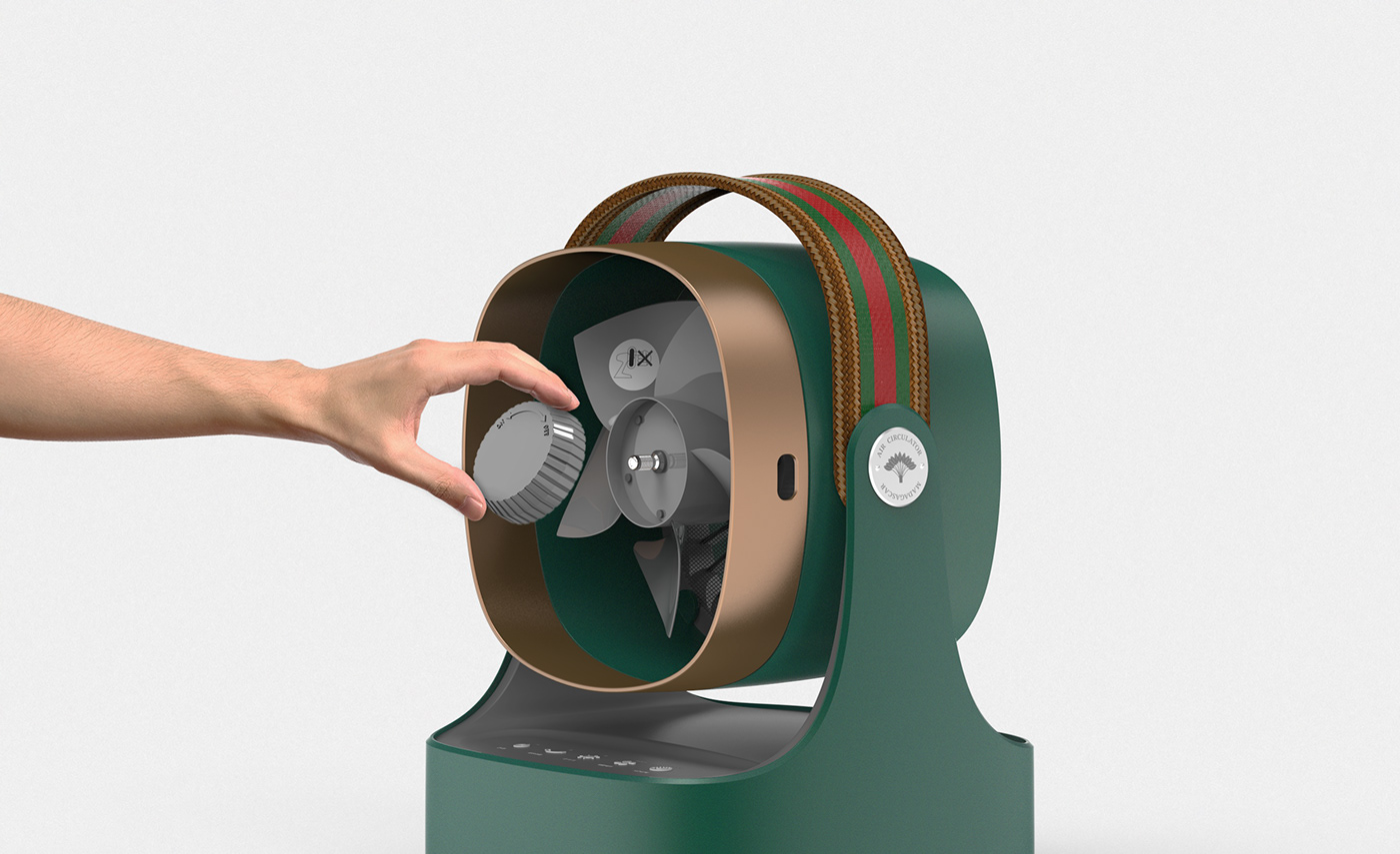 Ravenala，Madagascar，loop，air，