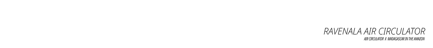 Ravenala，Madagascar，loop，air，