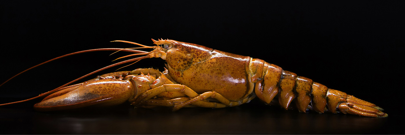 speaker，product design，Appearance design，delicate，