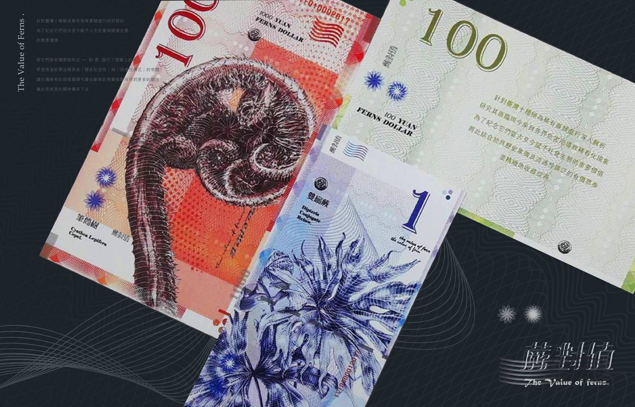 Packaging project and visual communication project，gold prize，if，two thousand and eighteen，