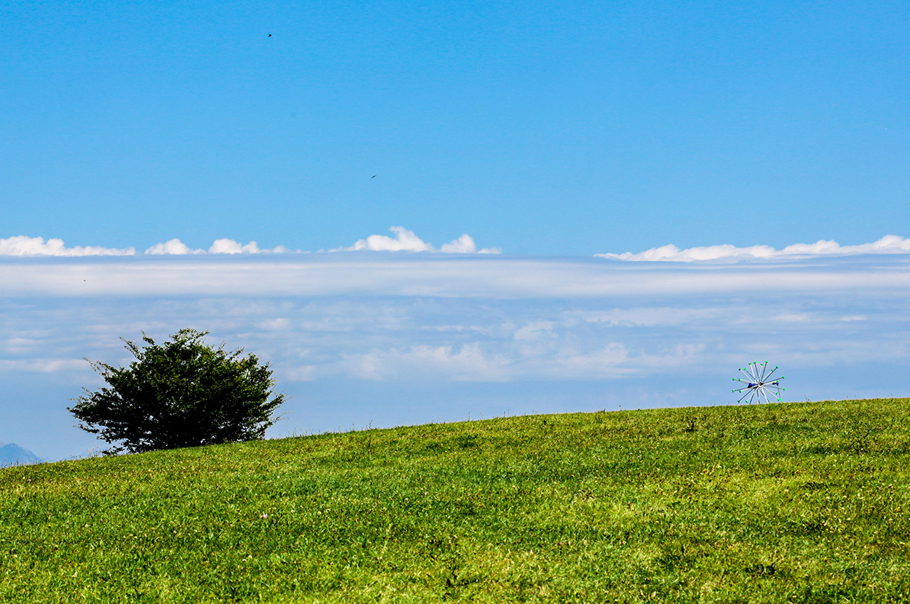 SentiV，Agricultural robot，artificial intelligence，Digital，