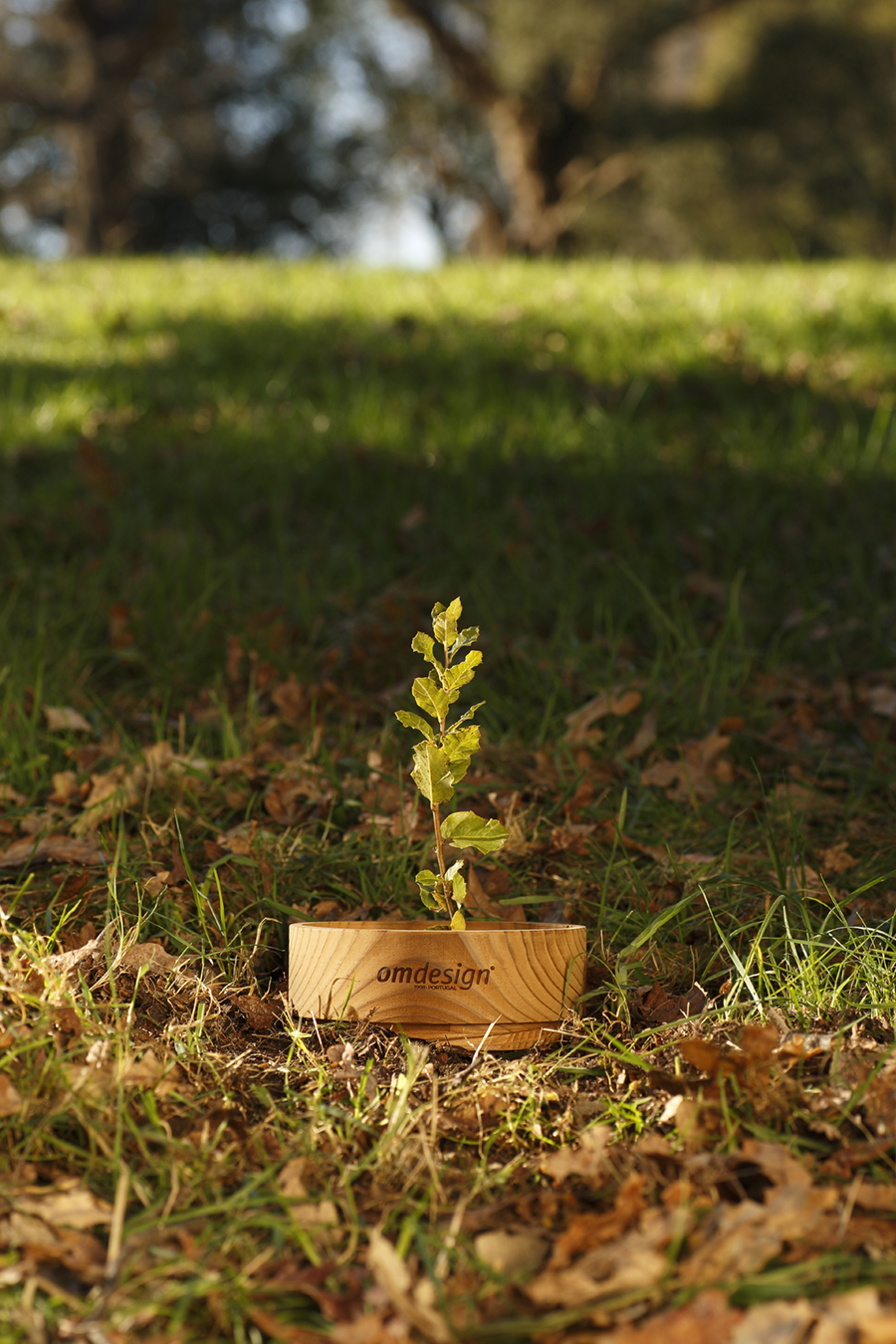 Packaging project and visual communication project，gold prize，if，two thousand and eighteen，