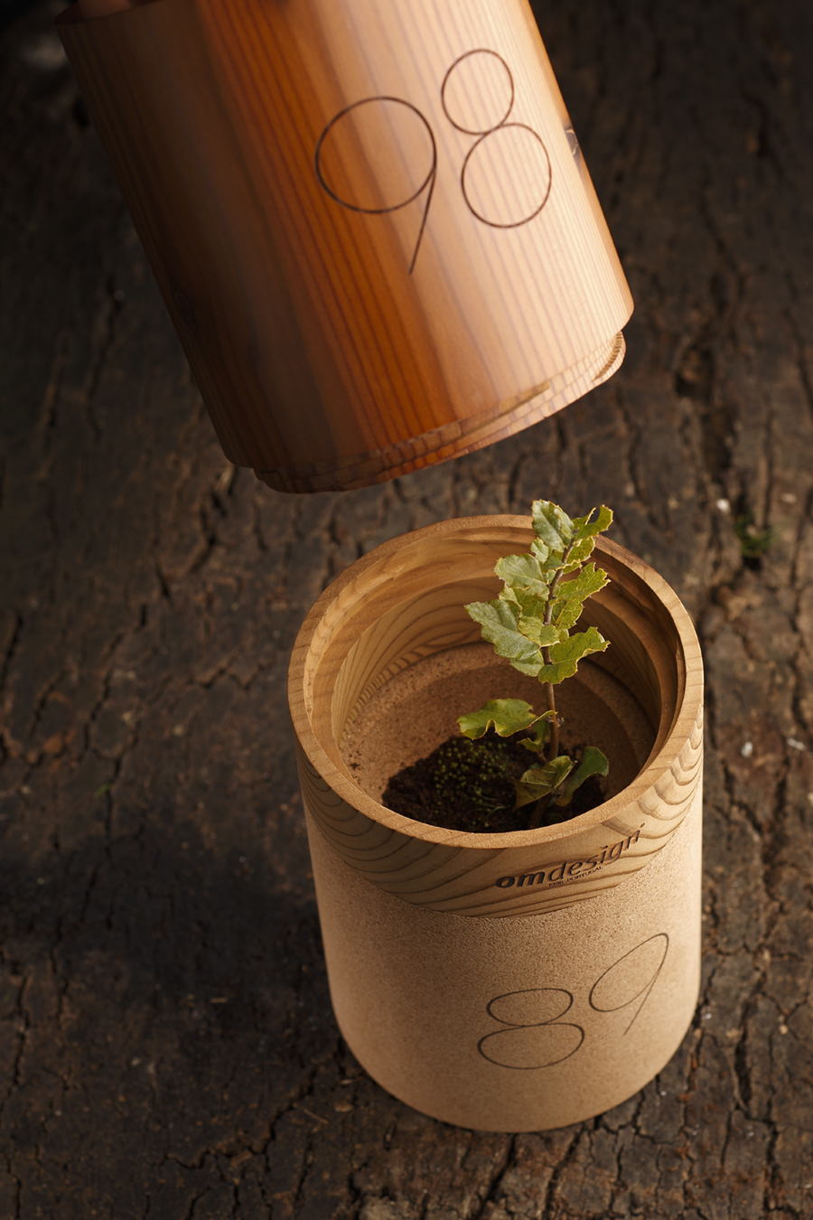 Packaging project and visual communication project，gold prize，if，two thousand and eighteen，