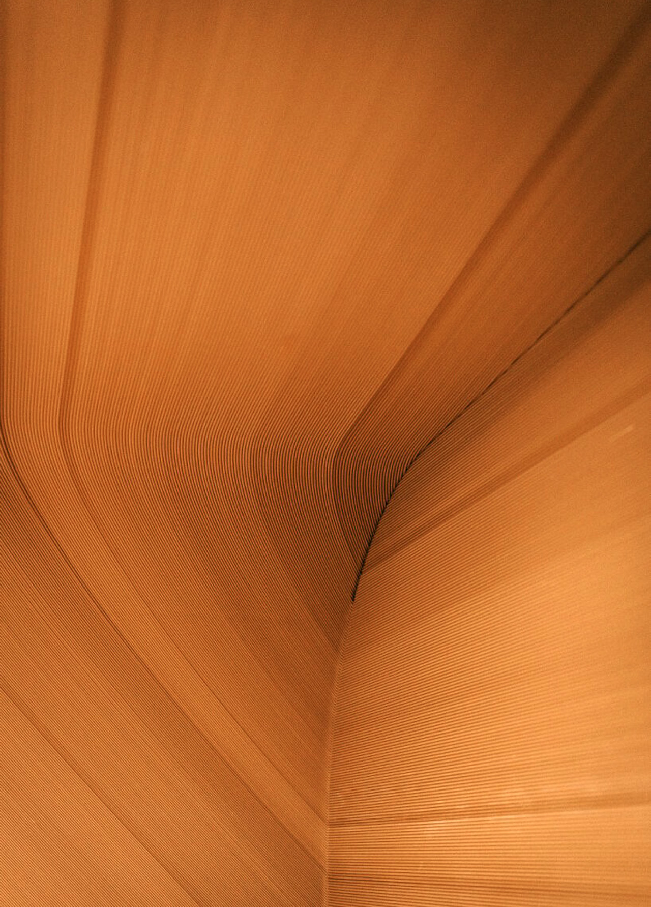 3D printing，Bio-based materials，product design，Print home，3D Printing House，