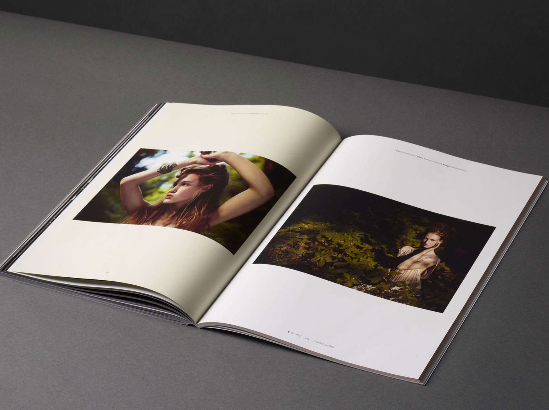 Packaging project and visual communication project，gold prize，if，two thousand and eighteen，