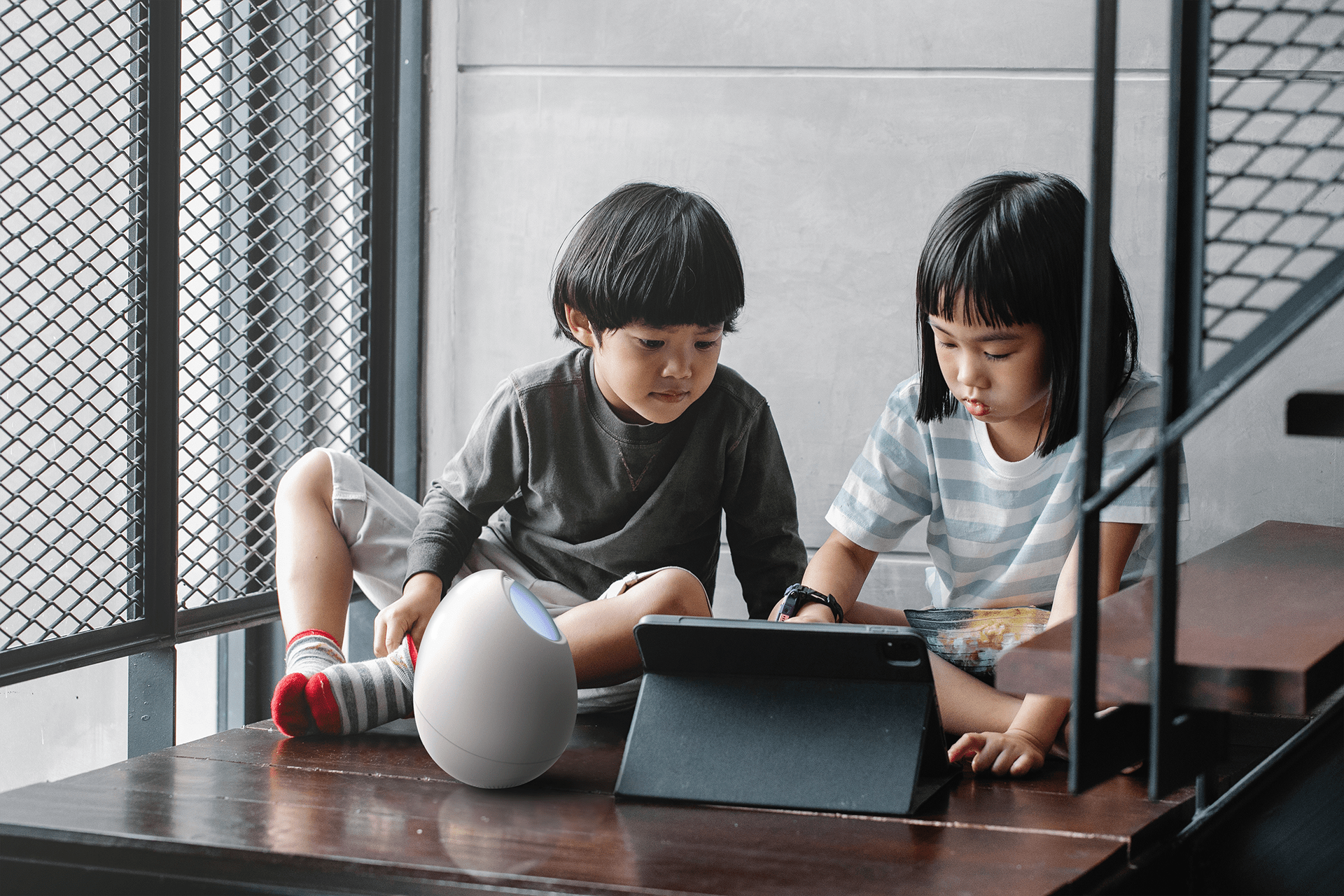 Pets，robot，product，product design，Robot Pet Design，Eggo，