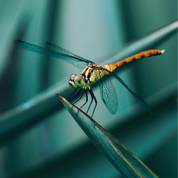 UAV，Rice，ai，Aviation design，