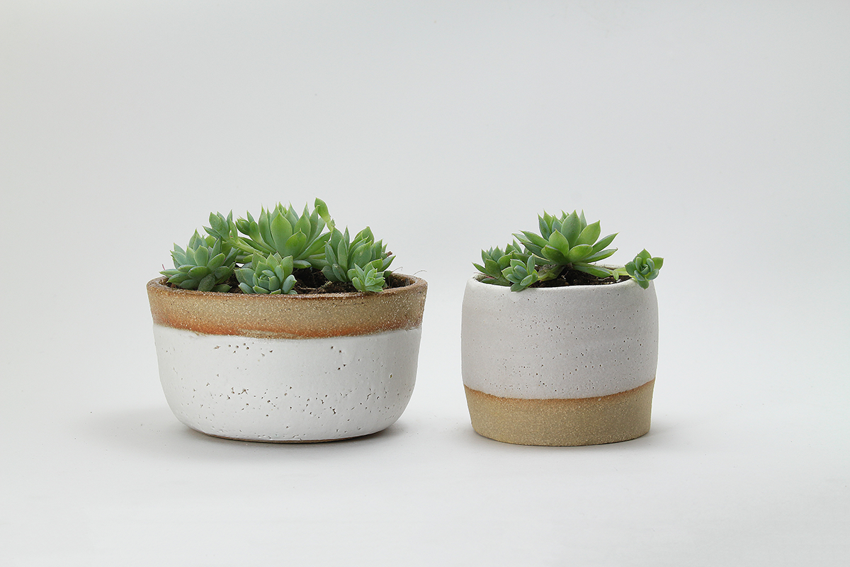 Flowerpot，Potted plants，outdoors，product design，