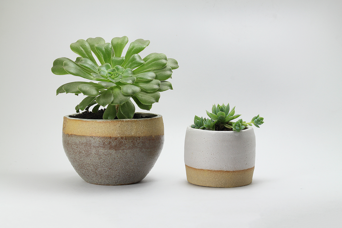 Flowerpot，Potted plants，outdoors，product design，