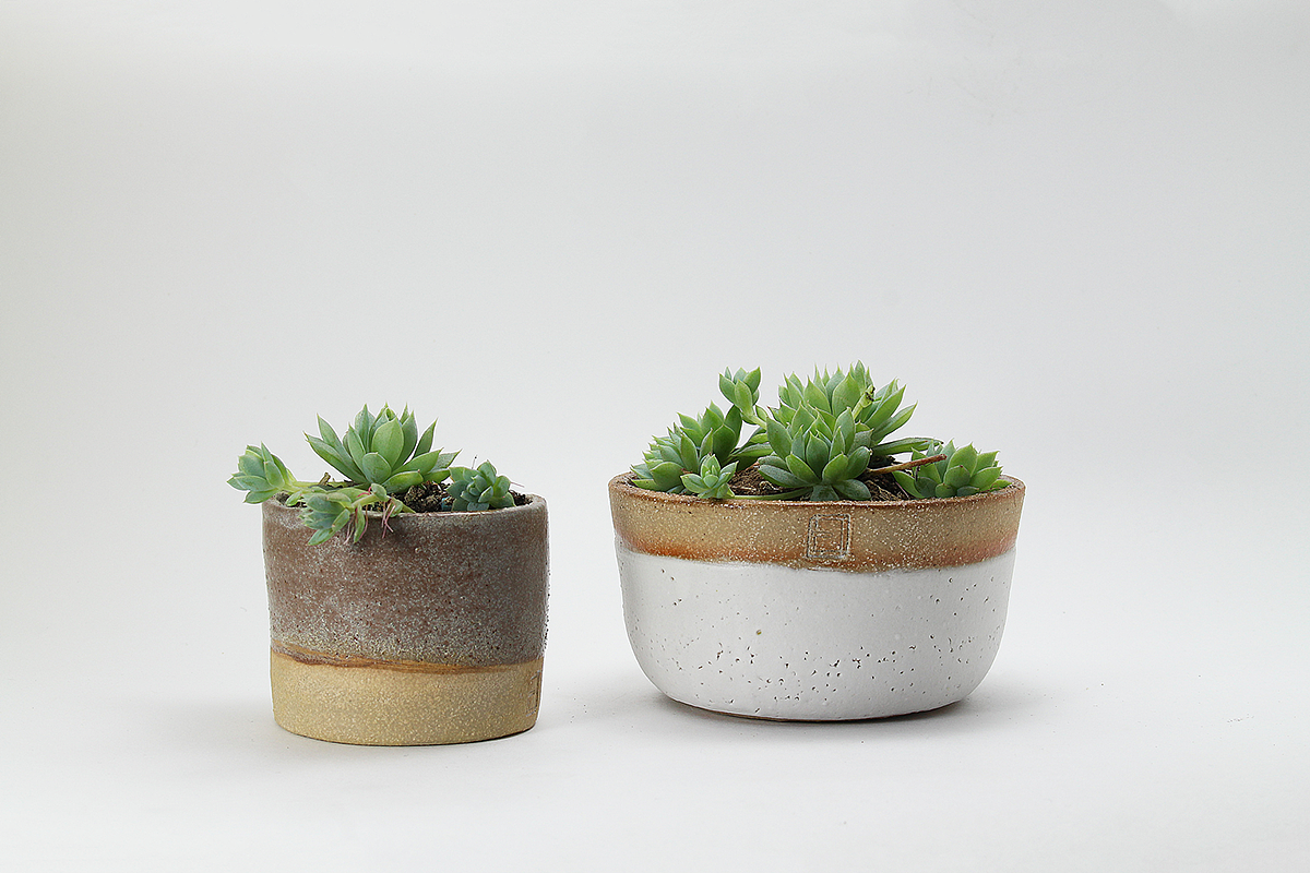 Flowerpot，Potted plants，outdoors，product design，