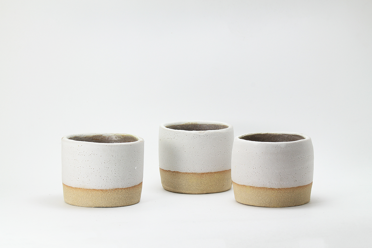 Flowerpot，Potted plants，outdoors，product design，