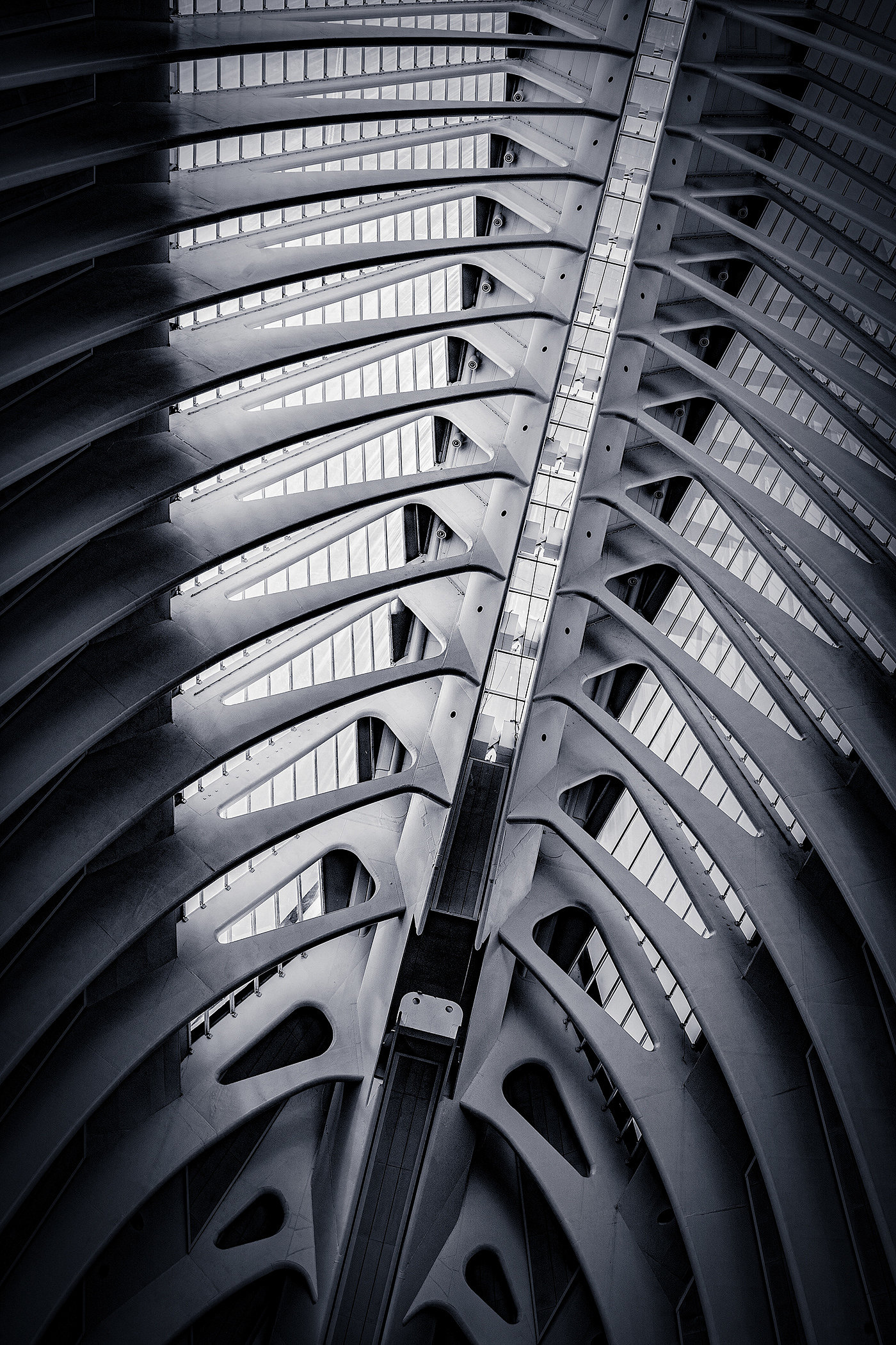 Calatrava，建筑设计，建筑摄影，