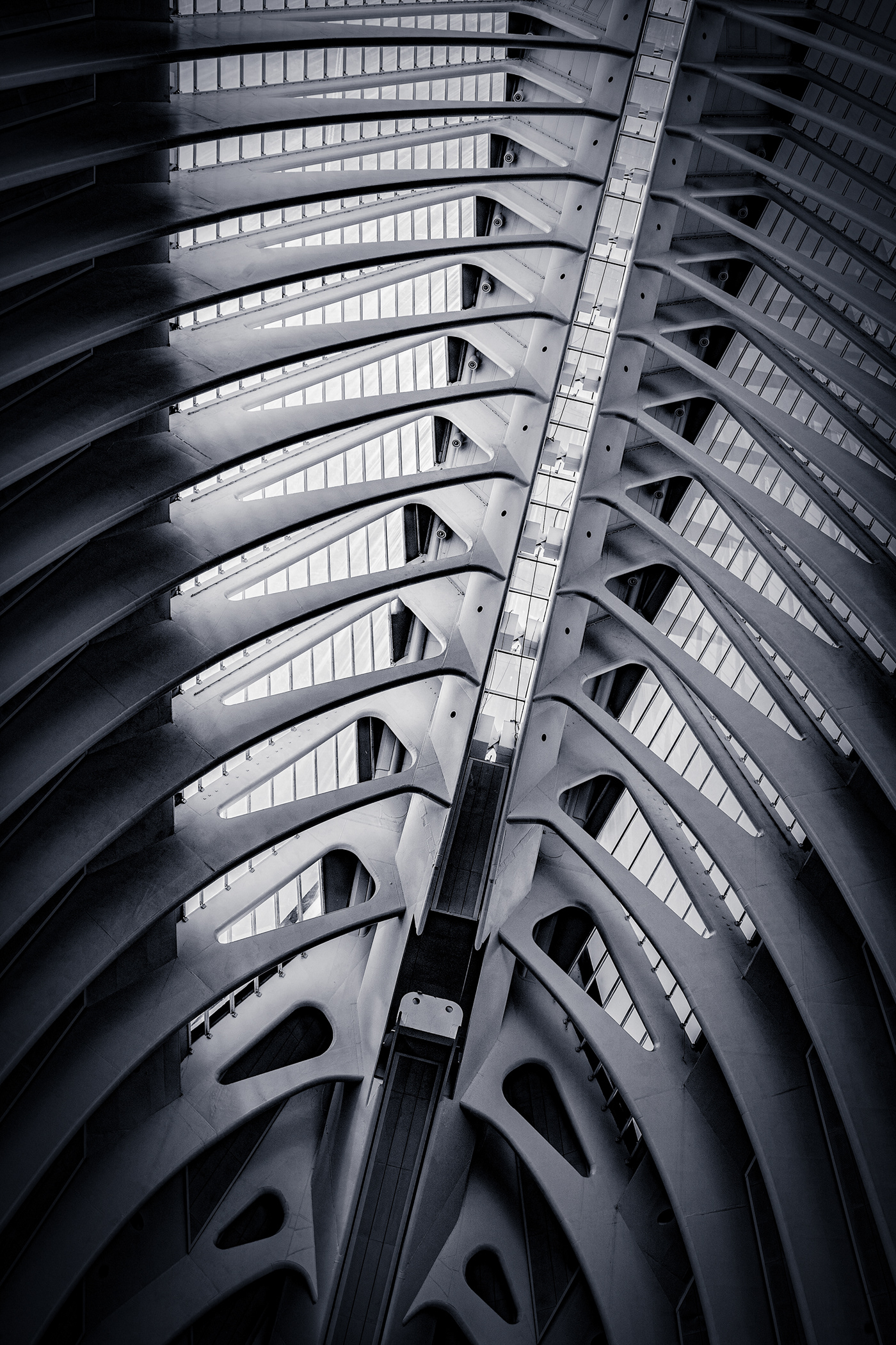 Calatrava，Architectural design，architectural photography，