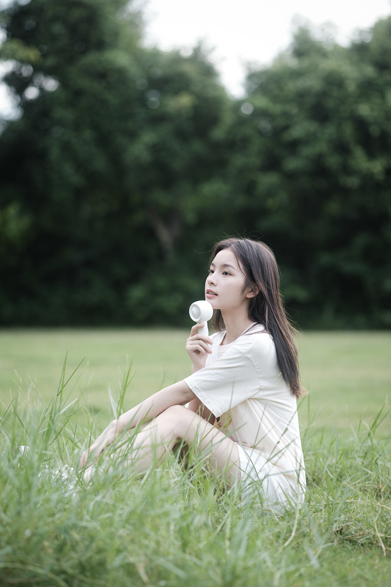 Several elements，hold，Fan，