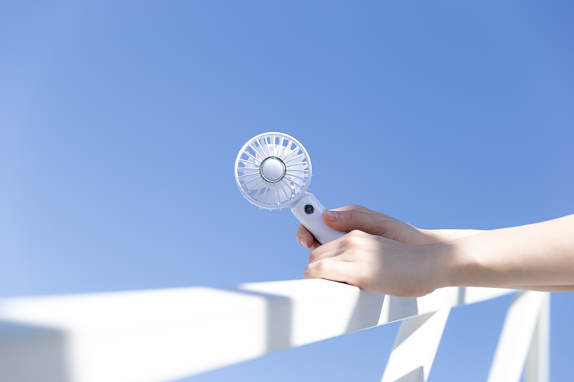 colour，Small fan，hold，Shenzhen，online retailers，shot，