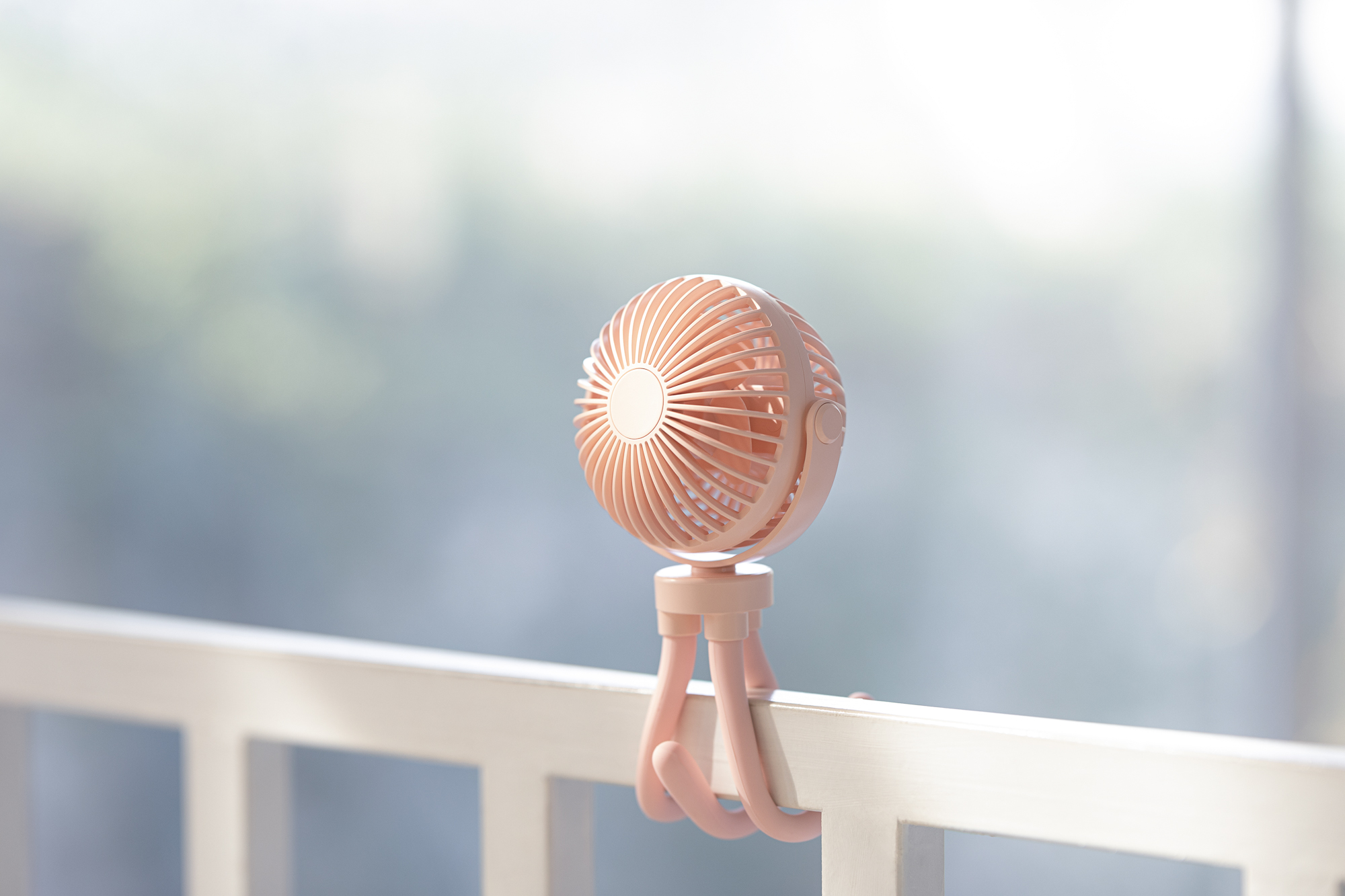 octopus，Fan，Shenzhen，online retailers，shot，