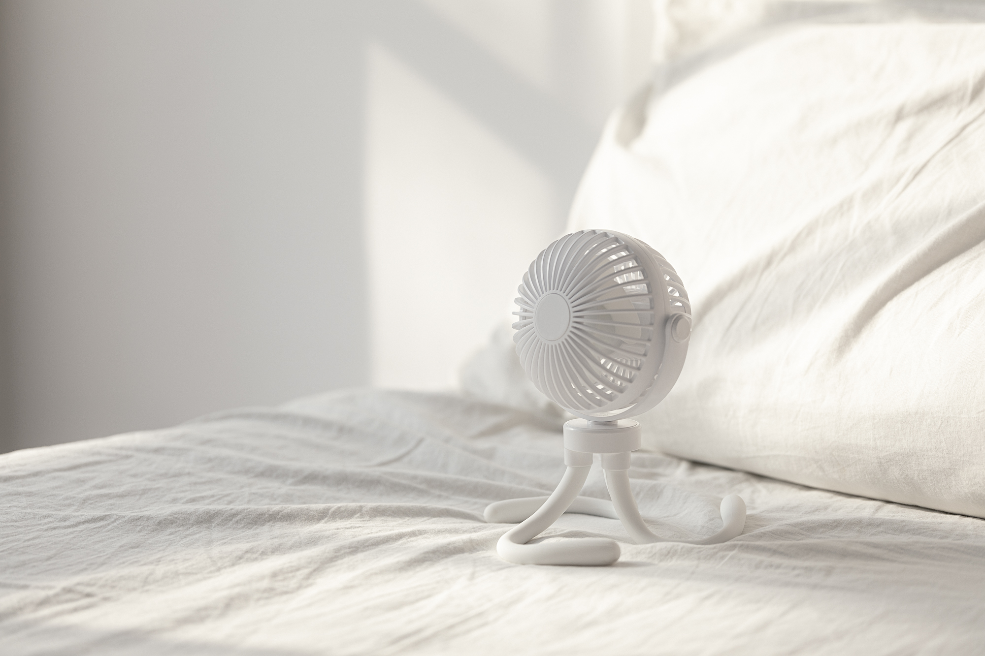 octopus，Fan，Shenzhen，online retailers，shot，