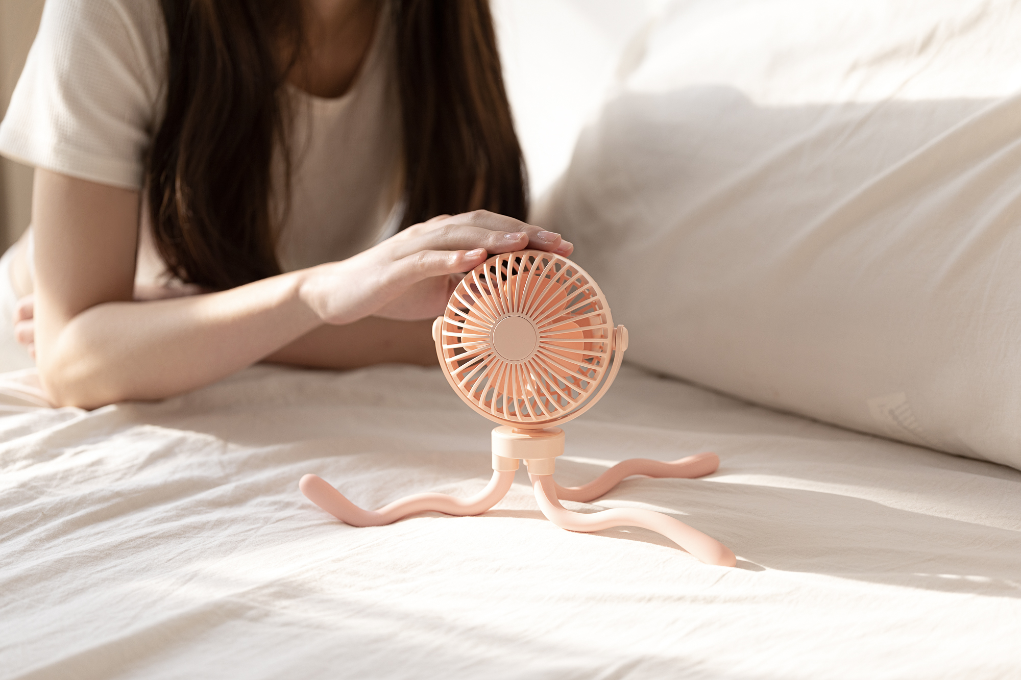 octopus，Fan，Shenzhen，online retailers，shot，