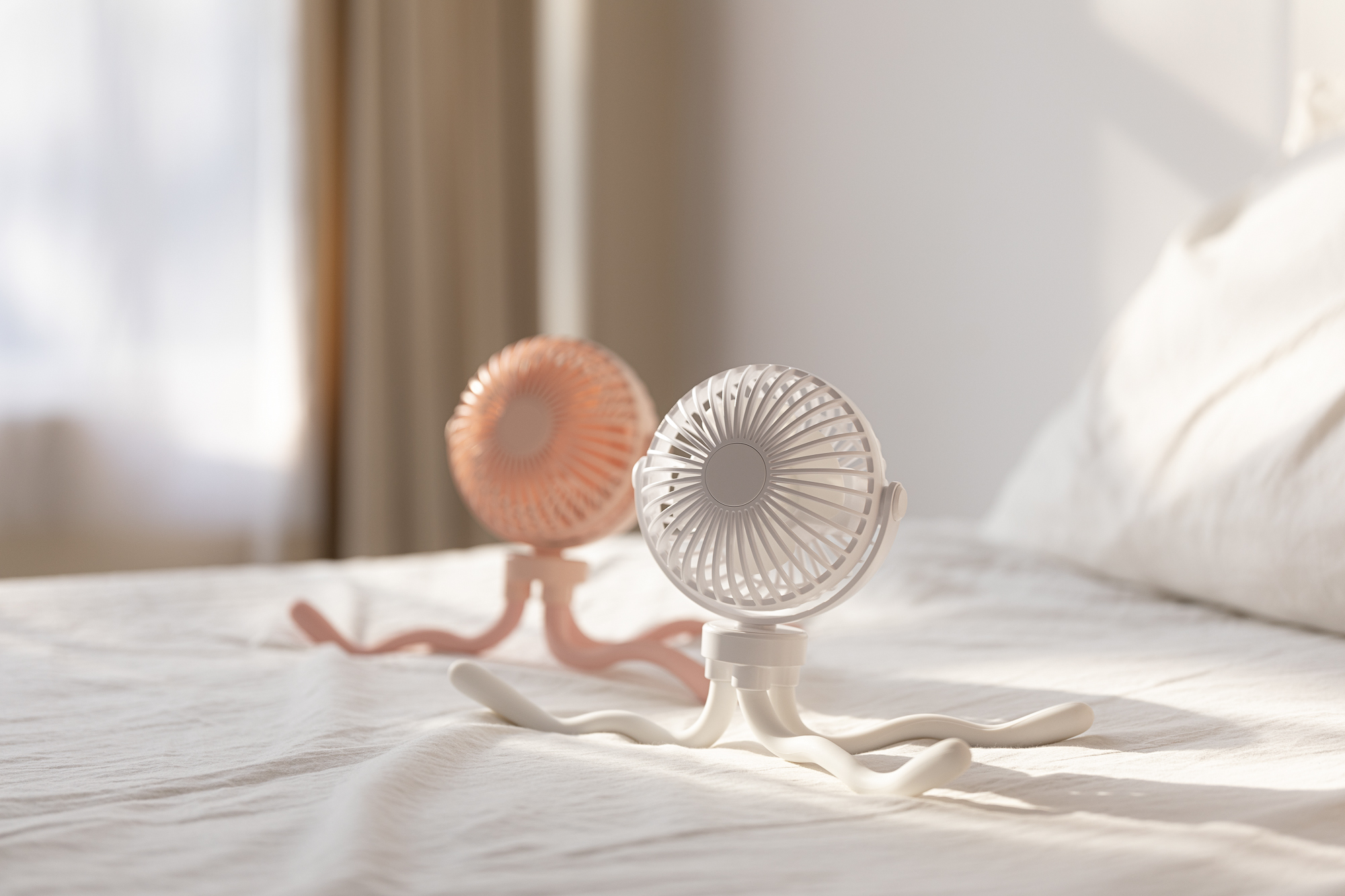 octopus，Fan，Shenzhen，online retailers，shot，