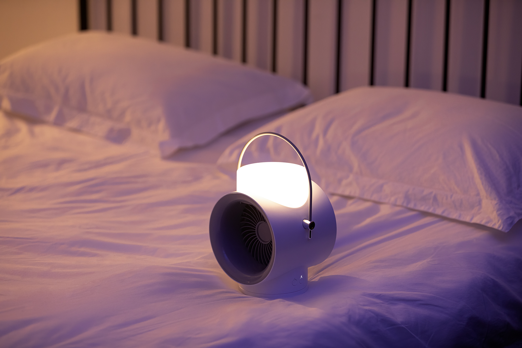 Fan，Shaking fan，Humidifier，Atmosphere lamp，Night light，
