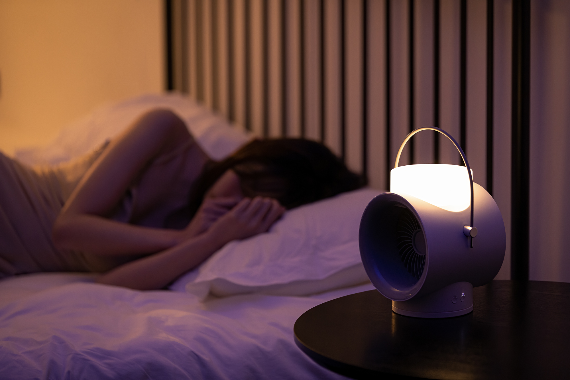 Fan，Shaking fan，Humidifier，Atmosphere lamp，Night light，