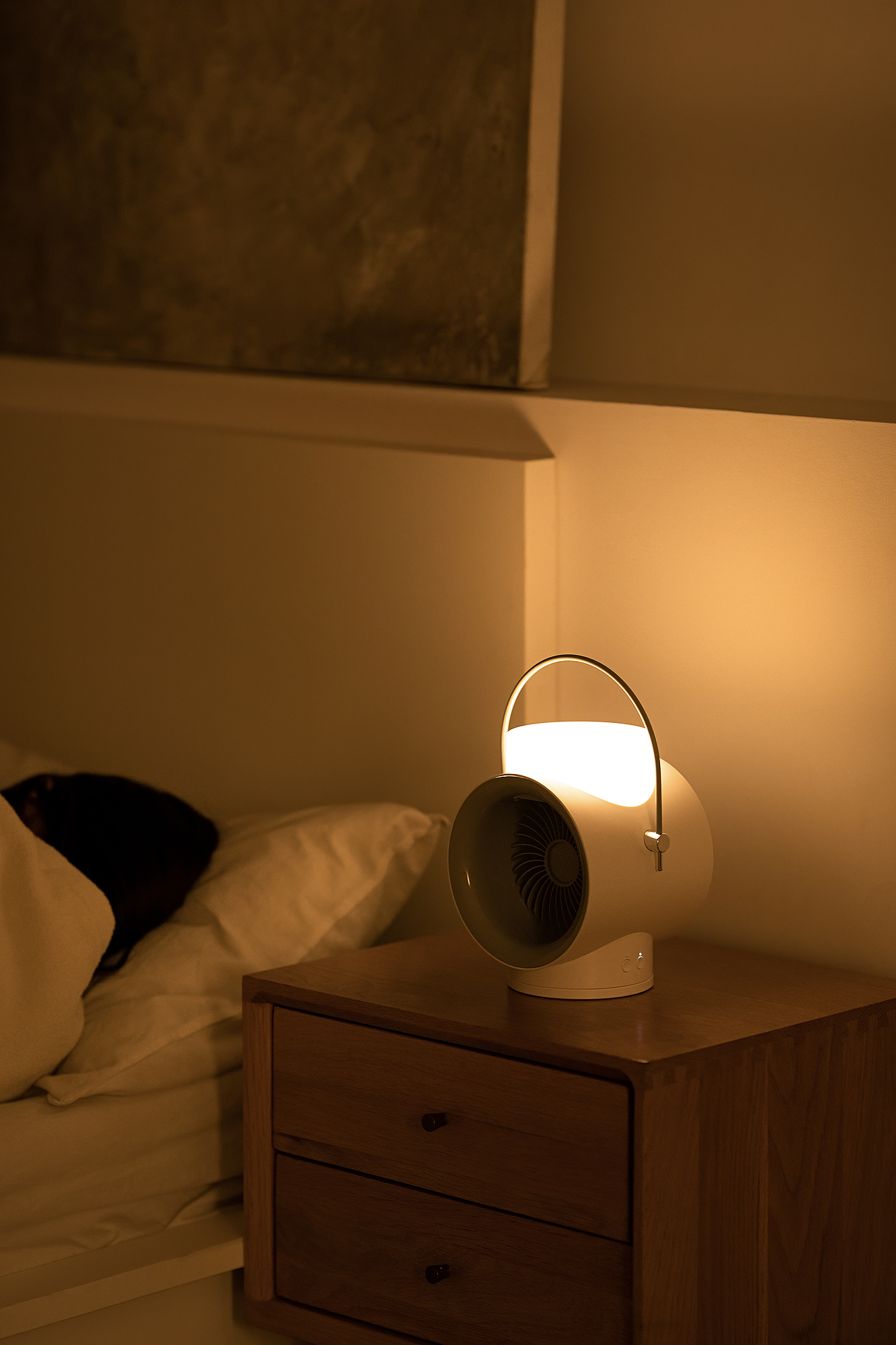 Fan，Shaking fan，Humidifier，Atmosphere lamp，Night light，