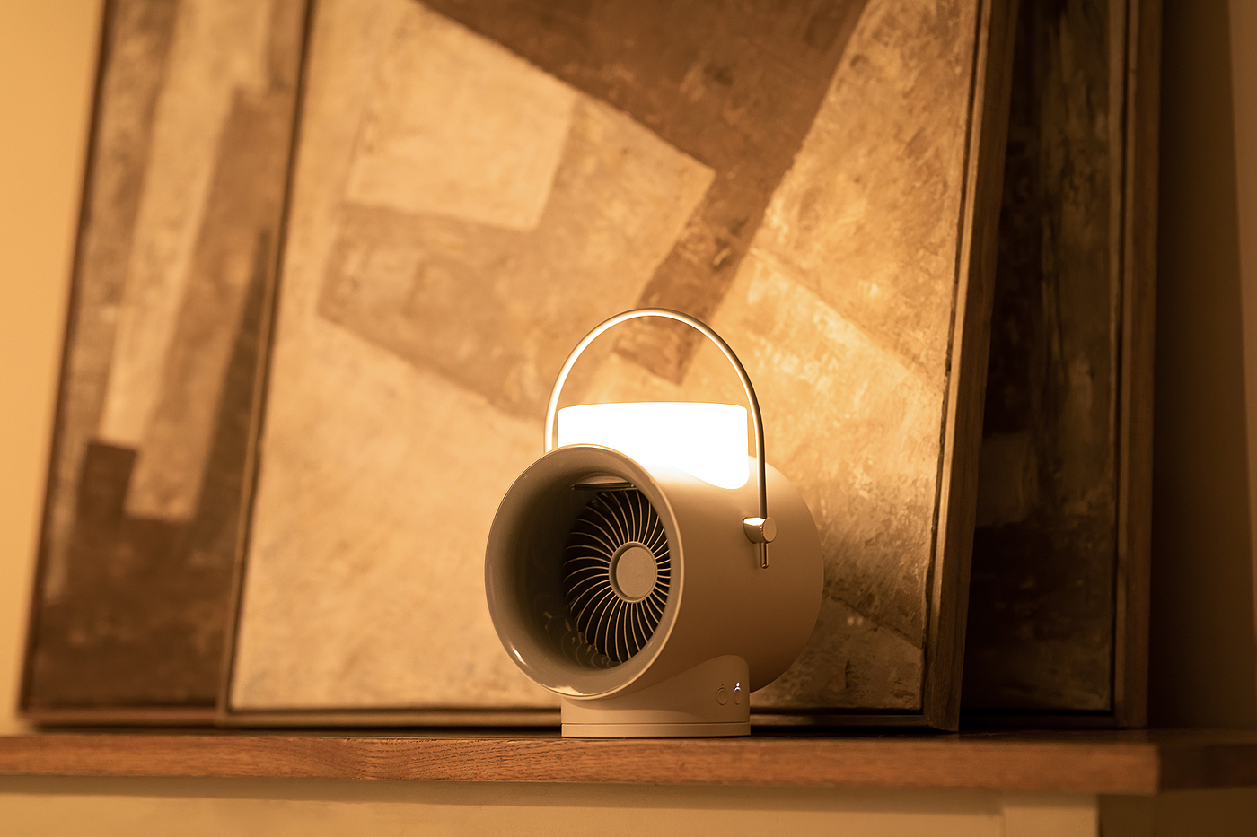 Fan，Shaking fan，Humidifier，Atmosphere lamp，Night light，